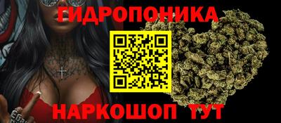 стаф Коммунар