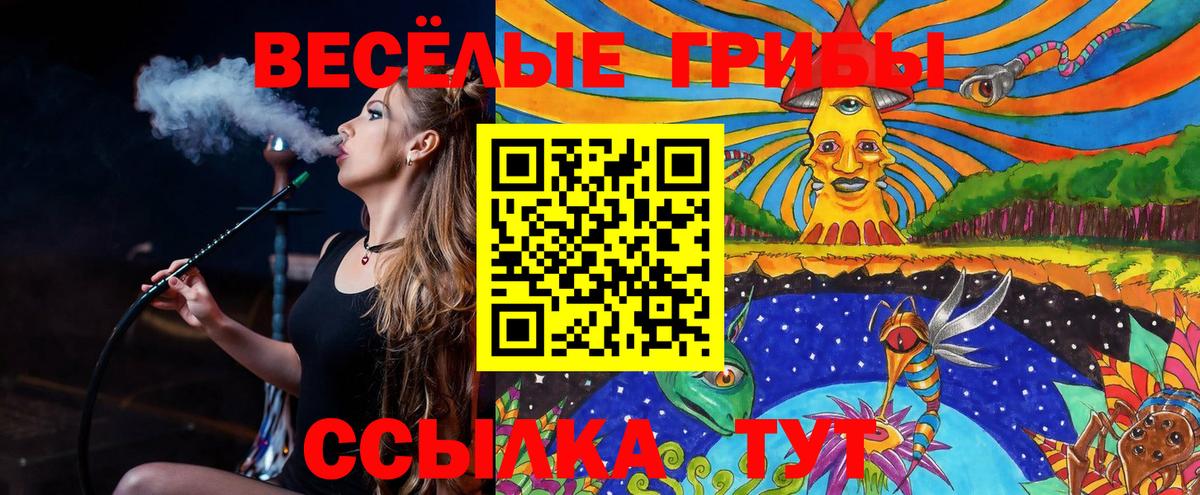 Псилоцибиновые грибы Magic Shrooms Кингисепп