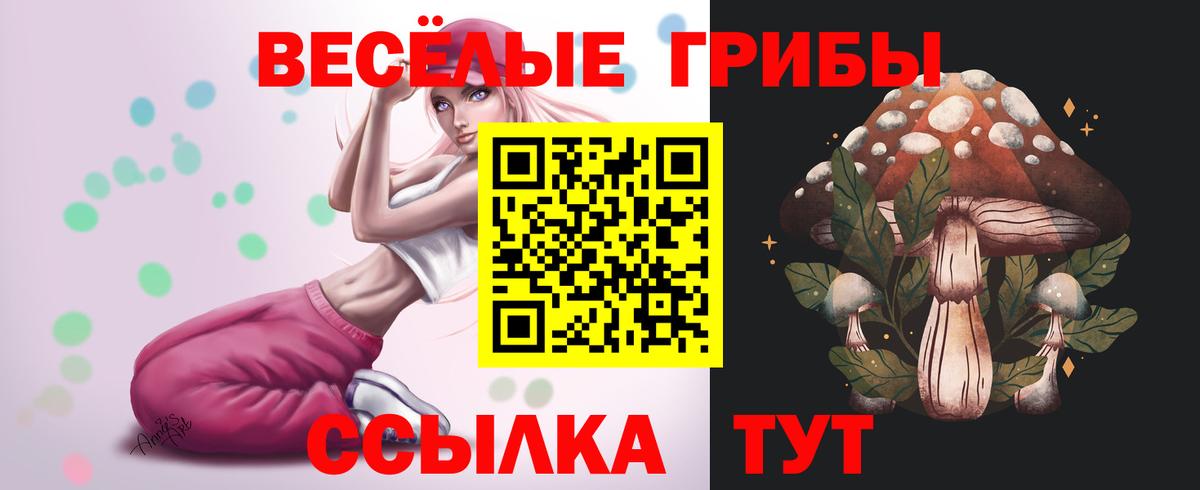 Псилоцибиновые грибы Psilocybe  Псилоцибиновые грибы Psilocybine cubensis  Кингисепп  Вход с VPN 